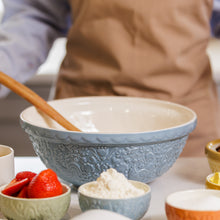 Load image into Gallery viewer, Mason Cash Home to Roost S18 Blue Mixing Bowl