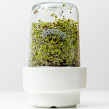 Load image into Gallery viewer, Kilner Sprouting Set - Kilner
