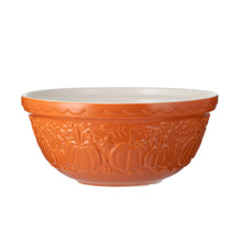 Load image into Gallery viewer, Mason Cash S12 Orange Pumpkin Mixing Bowl
