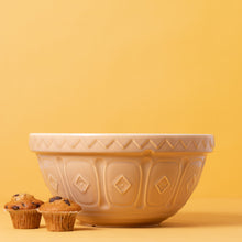 Load image into Gallery viewer, Mason Cash Cane S4 Mixing Bowl
