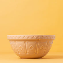 Load image into Gallery viewer, Mason Cash Cane S4 Mixing Bowl

