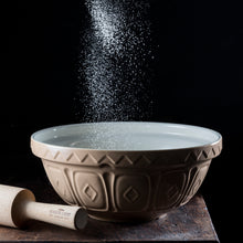 Load image into Gallery viewer, Mason Cash S9 Cane Mixing Bowl
