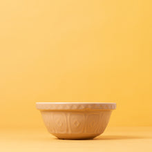 Load image into Gallery viewer, Mason Cash S24 Cane Mixing Bowl
