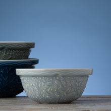 Load image into Gallery viewer, Mason Cash Nautical Light Blue S24 Mixing Bowl

