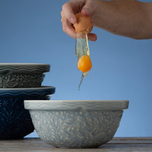 Load image into Gallery viewer, Mason Cash Nautical Light Blue S24 Mixing Bowl
